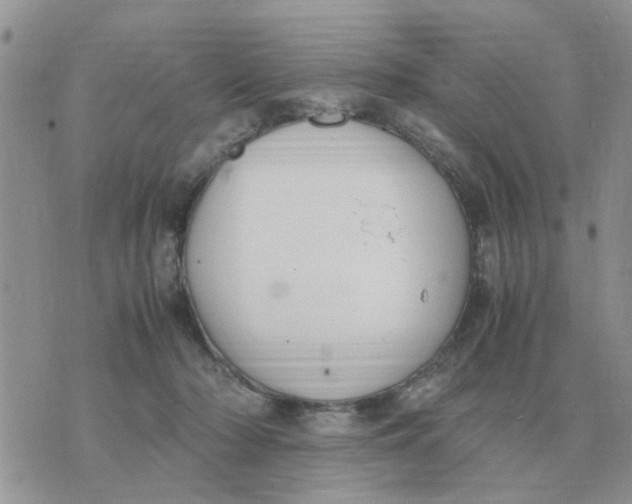 X0000070430318200606302133