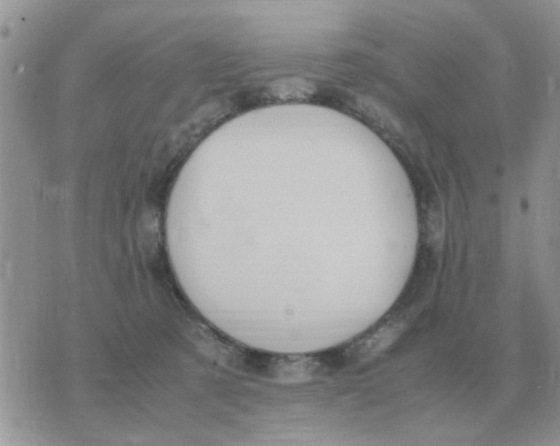 X0000070430321200606302133