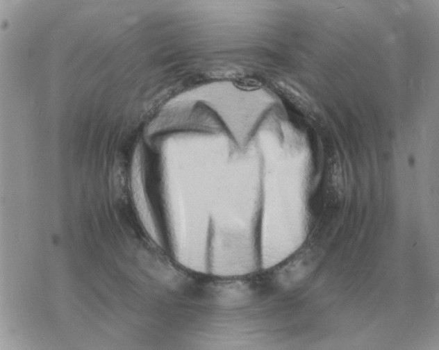 X0000070430322200606302133