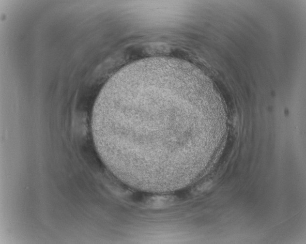 X0000070430323200606302133