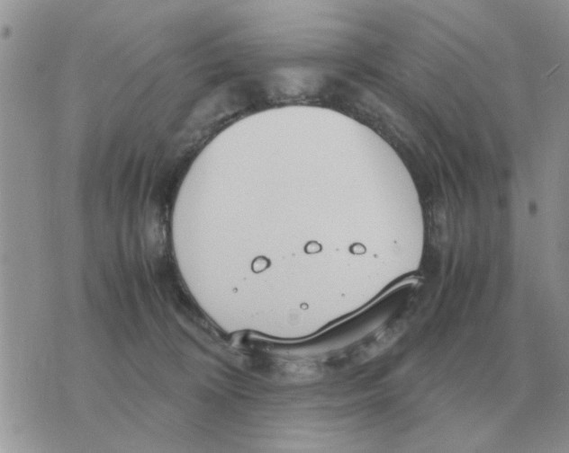 X0000070430324200606302133