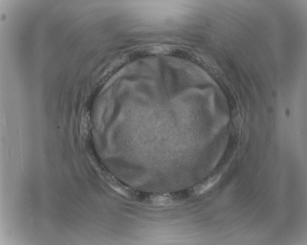 X0000070430325200606302133