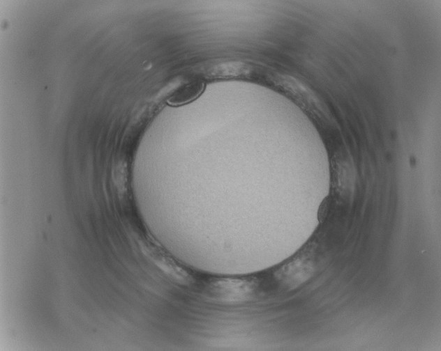 X0000070430326200606302132