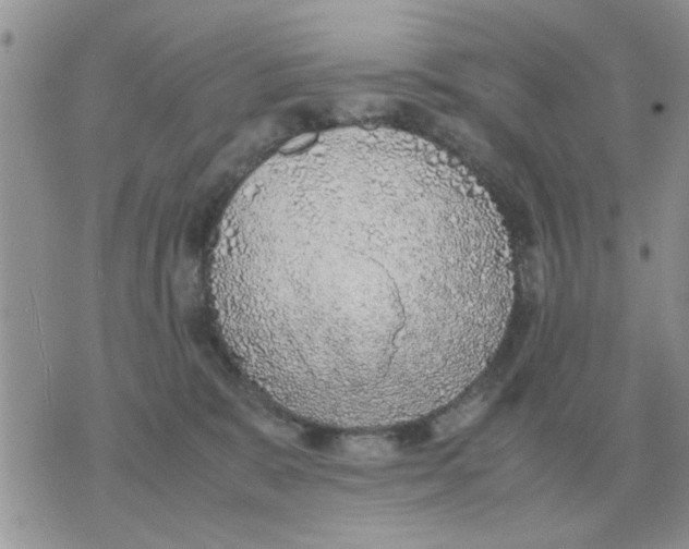 X0000070430327200606302132