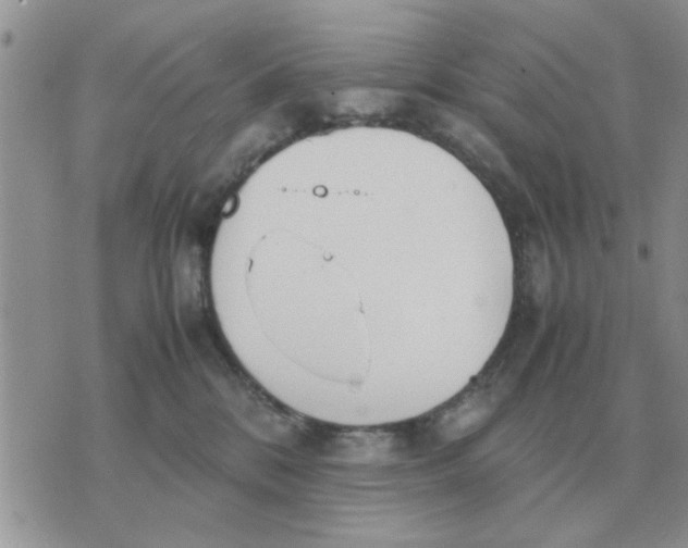 X0000070430328200606302132