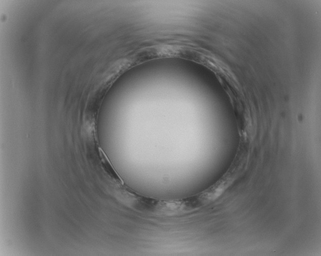 X0000070430329200606302132