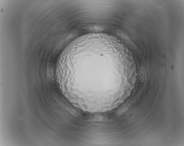 X0000070430330200606302132