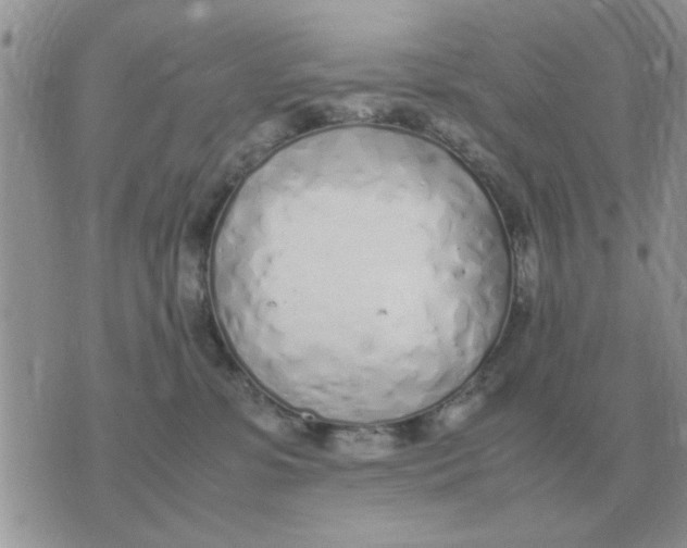 X0000070430331200606302132