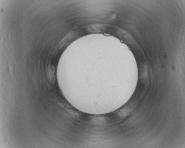 X0000070430332200606302132