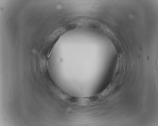 X0000070430333200606302132