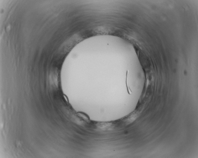 X0000070430334200606302132