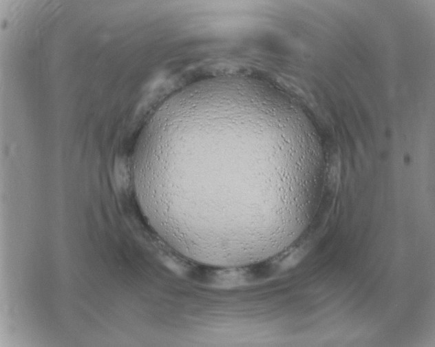 X0000070430335200606302132