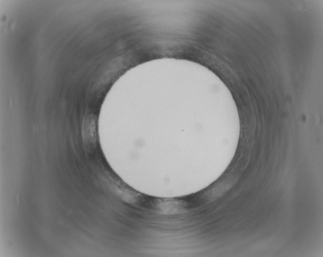 X0000070430336200606302132