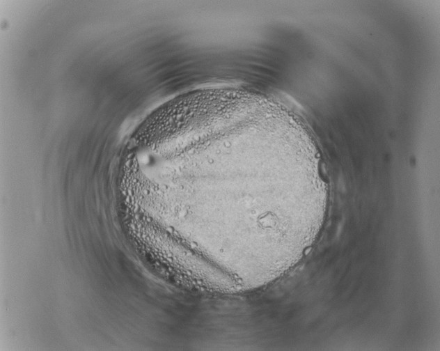 X0000070430337200606302132