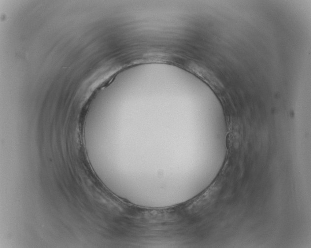 X0000070430338200606302132