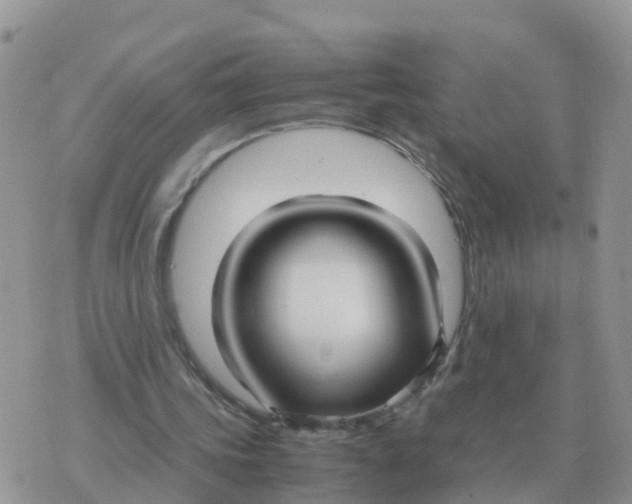 X0000070430339200606302132