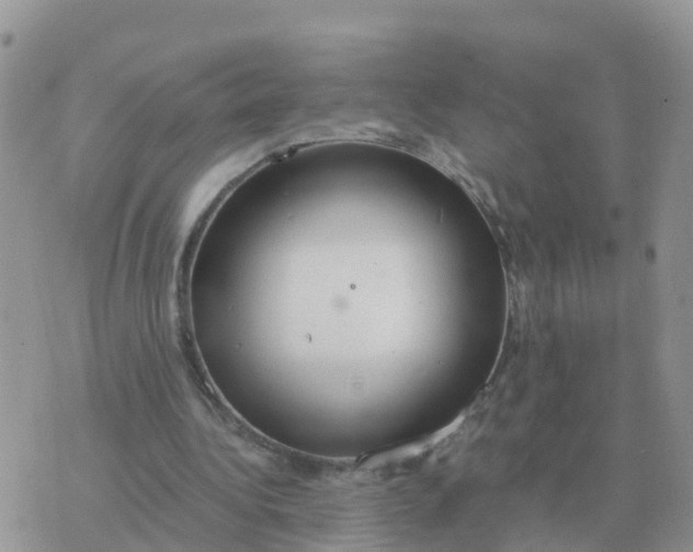 X0000070430340200606302132