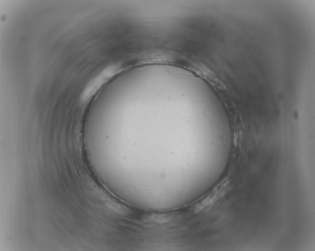 X0000070430341200606302132