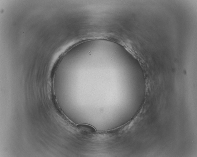 X0000070430342200606302132