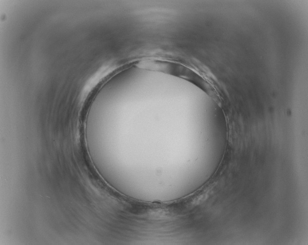 X0000070430344200606302132