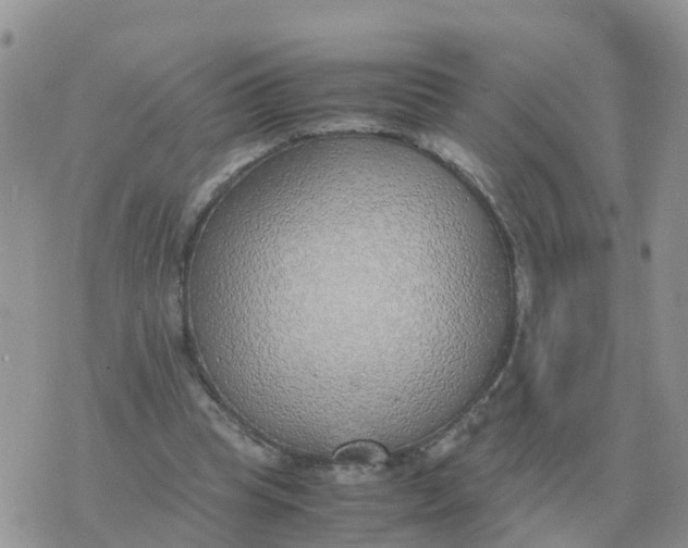 X0000070430345200606302132