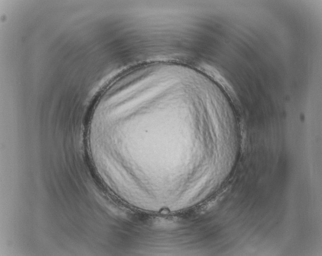 X0000070430346200606302132