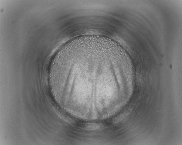 X0000070430347200606302132