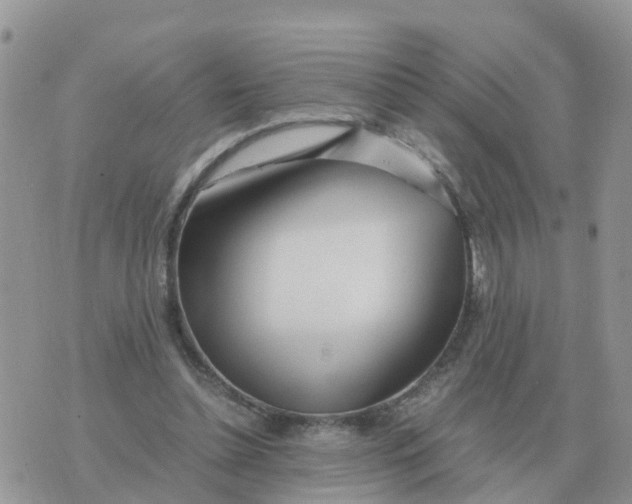 X0000070430348200606302132