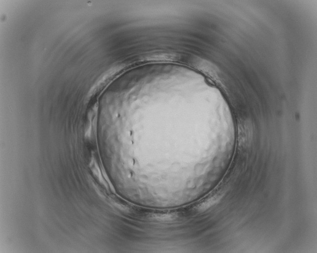 X0000070430349200606302132