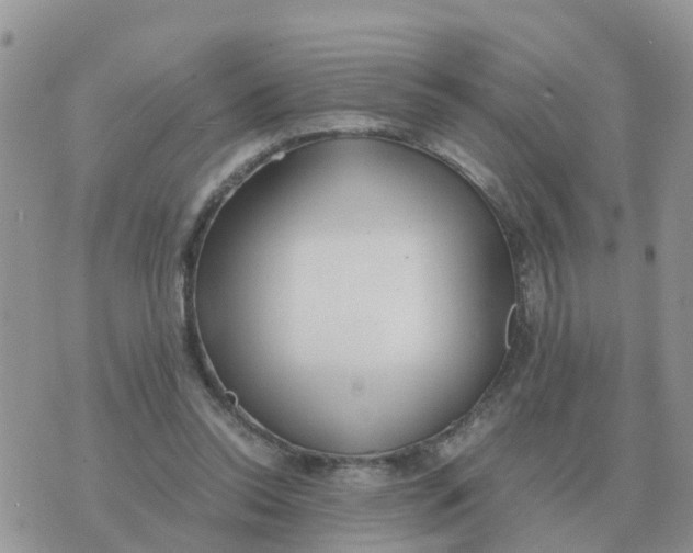 X0000070430350200606302132