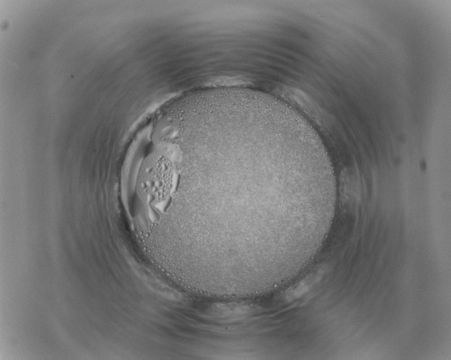 X0000070430351200606302132