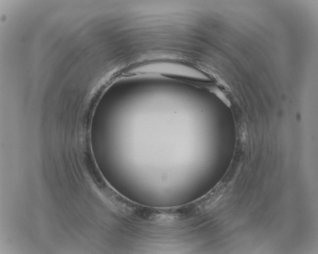 X0000070430352200606302132