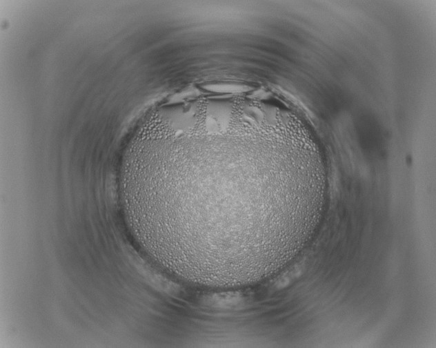 X0000070430353200606302132