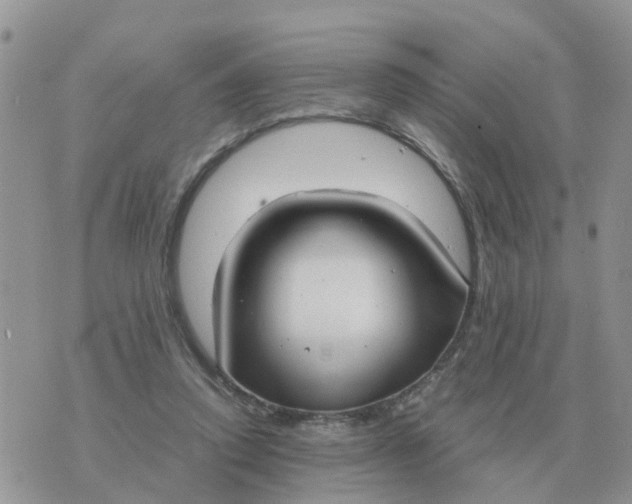 X0000070430354200606302132