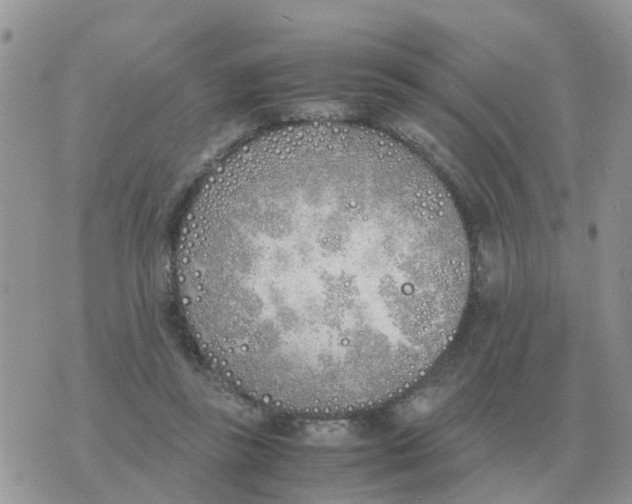 X0000070430355200606302132