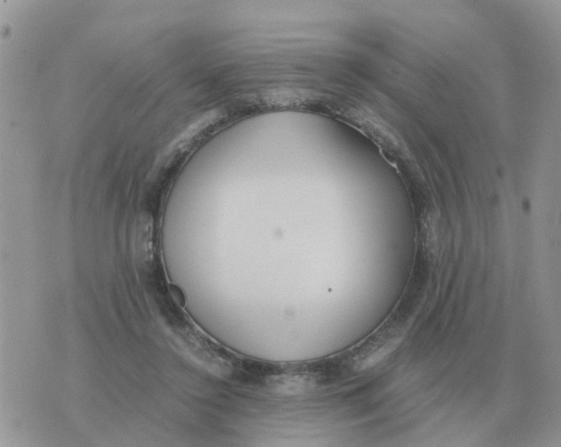 X0000070430356200606302132