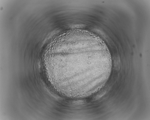 X0000070430357200606302132