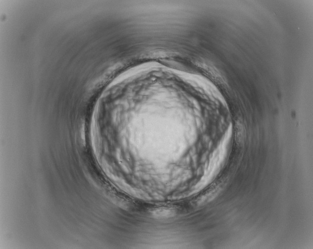 X0000070430358200606302132