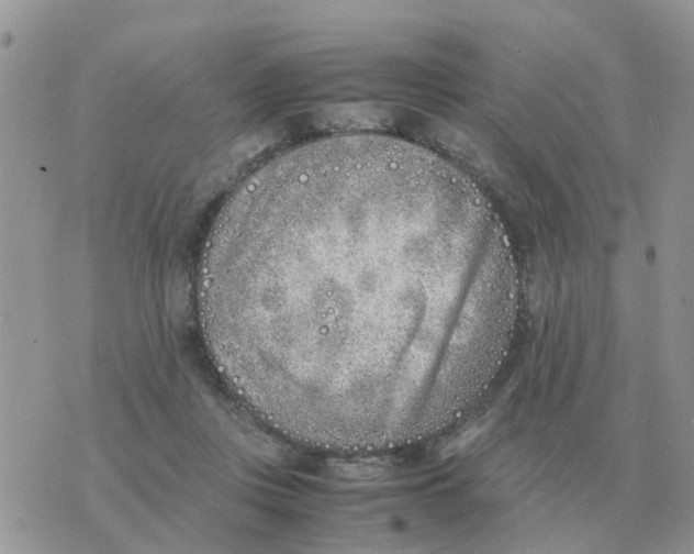 X0000070430359200606302132