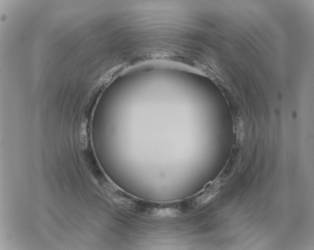 X0000070430360200606302132