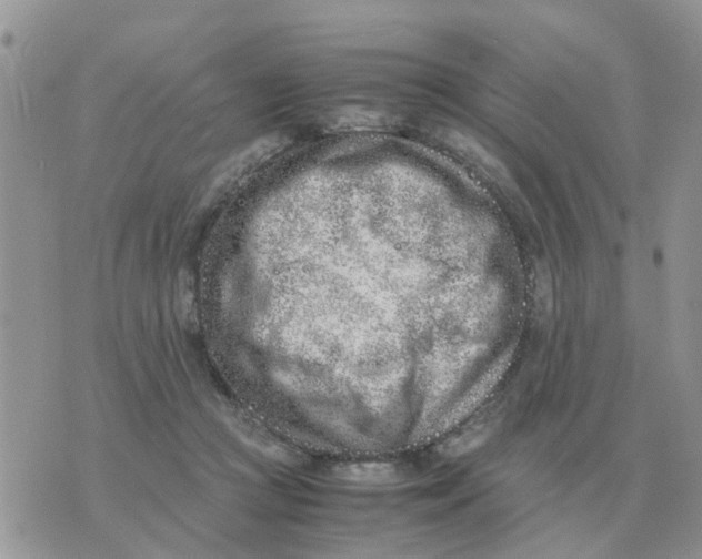 X0000070430361200606302132