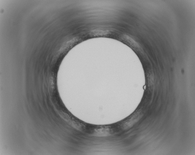 X0000070430362200606302132