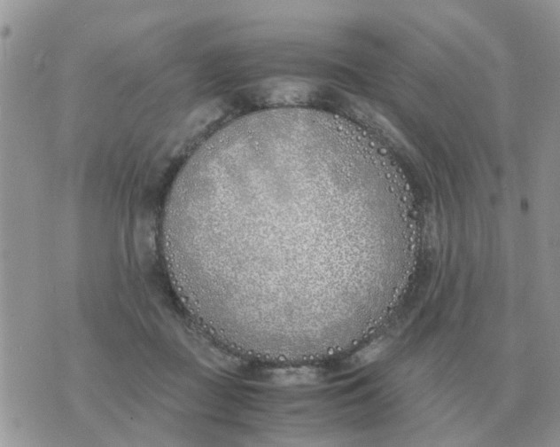 X0000070430363200606302132