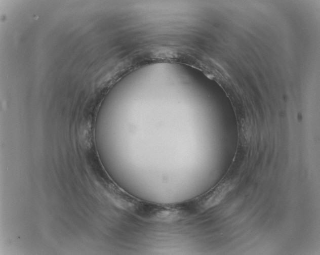 X0000070430364200606302132