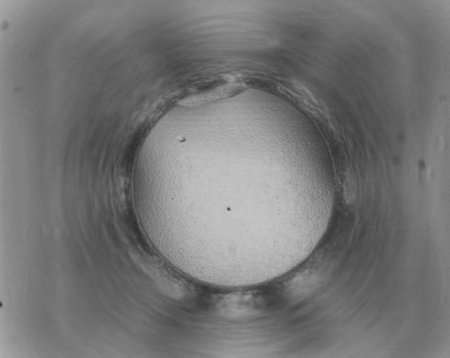 X0000070430366200606302132