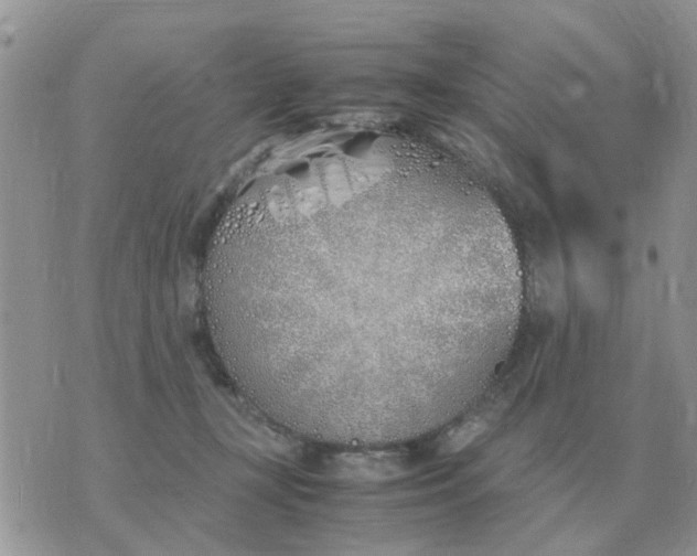 X0000070430367200606302132