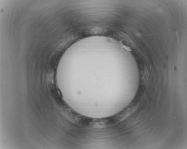 X0000070430368200606302132