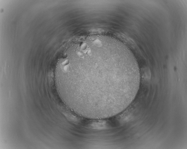 X0000070430369200606302132