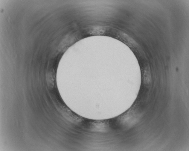 X0000070430370200606302132