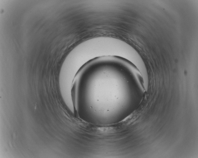 X0000070430371200606302132